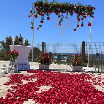 הצעות נישואין4